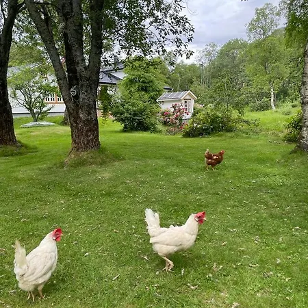 Ferienhaus Leka